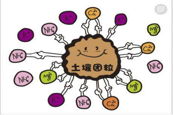 土壤养分快检仪价格报价表