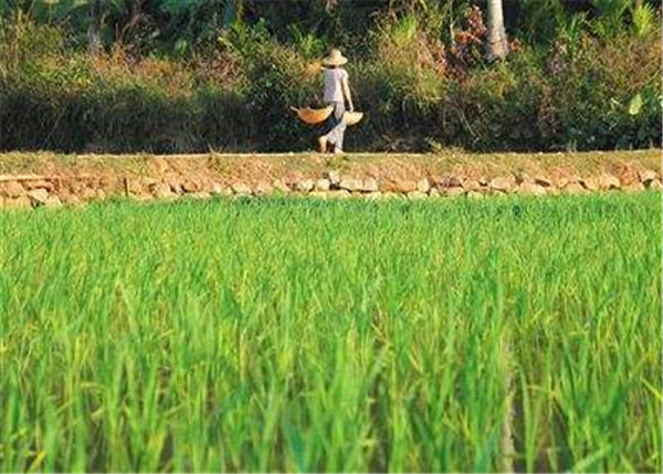 土壤养分快速测定仪哪个牌子好？