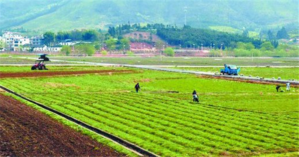 新型土壤肥料养分速测仪价格报价表