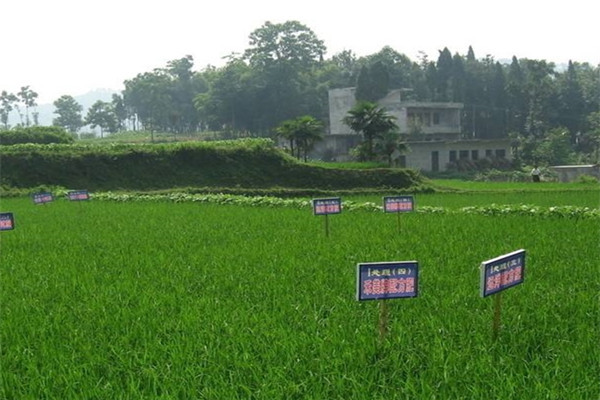 高智能土壤多参数测试系统价格报价表
