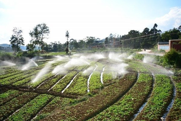 新型全项目土壤肥料养分检测仪价格报价表